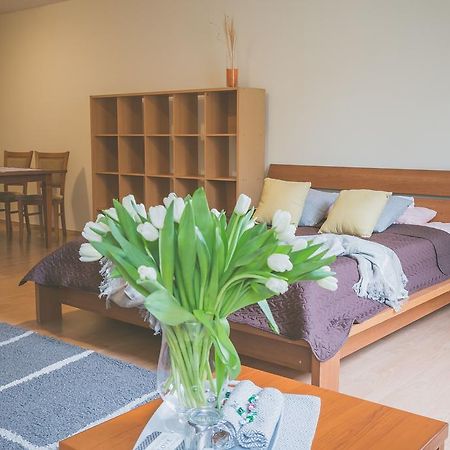 Apartamenty Przy Zamku Olsztyn  Exteriör bild